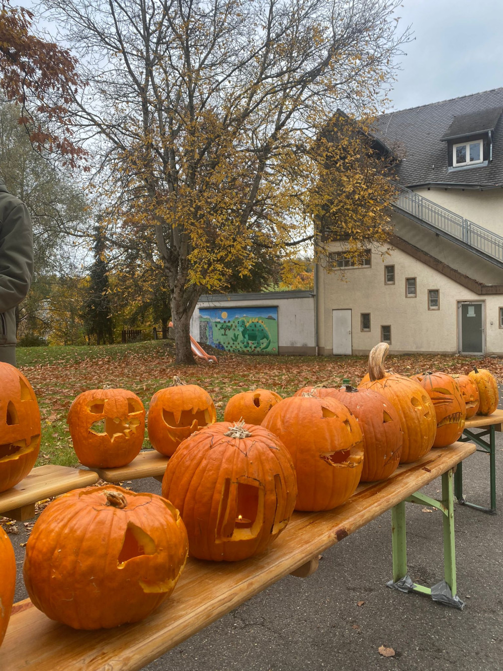 News | DLRG Ortsgruppe Bermatingen-Markdorf